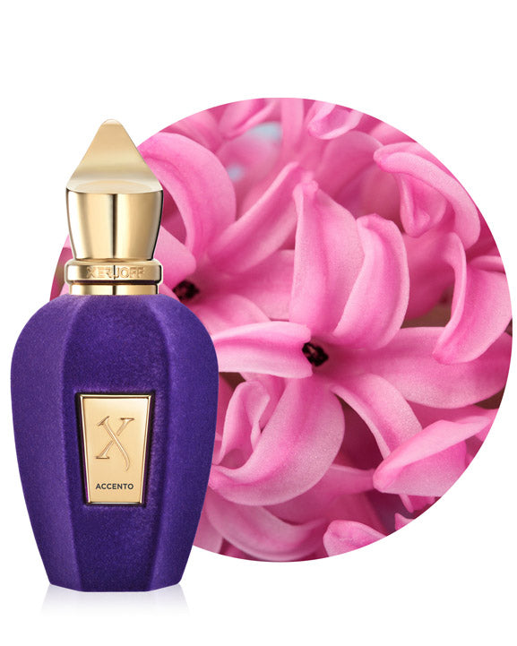 
            
                Load image into Gallery viewer, Xerjoff &amp;quot; V &amp;quot; Accento EDP - Niche Essence
            
        