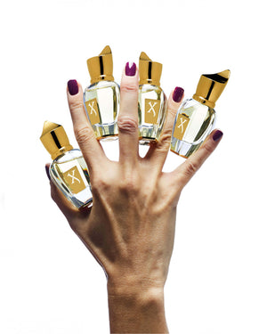 Xerjoff Discovery Set III - Naxos EDP + Alexandia II Parfum + Golden Dallah Parfum