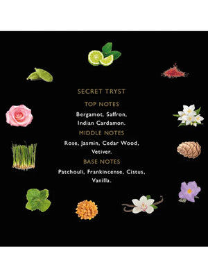 Fragrance Du Bois Secret Tryst 100ML