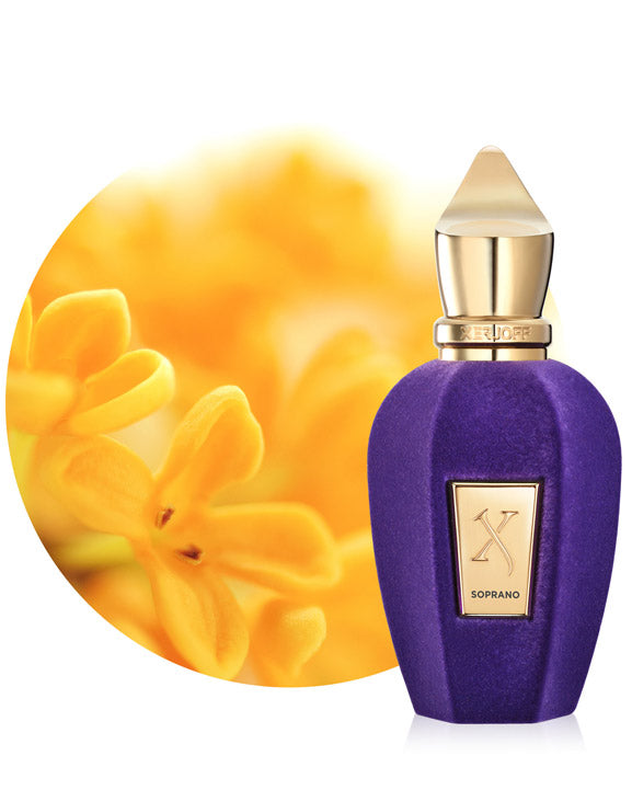 
            
                Load image into Gallery viewer, Xerjoff &amp;quot; V &amp;quot; Soprano EDP - Niche Essence
            
        