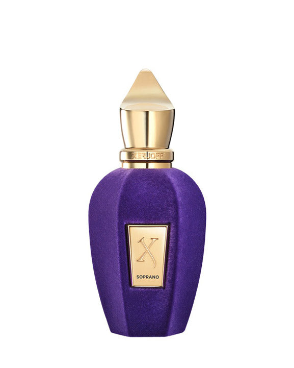 
            
                Load image into Gallery viewer, Xerjoff &amp;quot; V &amp;quot; Soprano EDP - Niche Essence
            
        